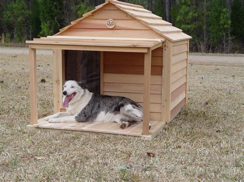 the doghouse delaware  As used in this subchapter: (1) “Animal shelter” means a public or private facility which includes a physical structure that provides temporary or permanent shelter to stray, abandoned, abused, or owner-surrendered animals and is operated, owned, or